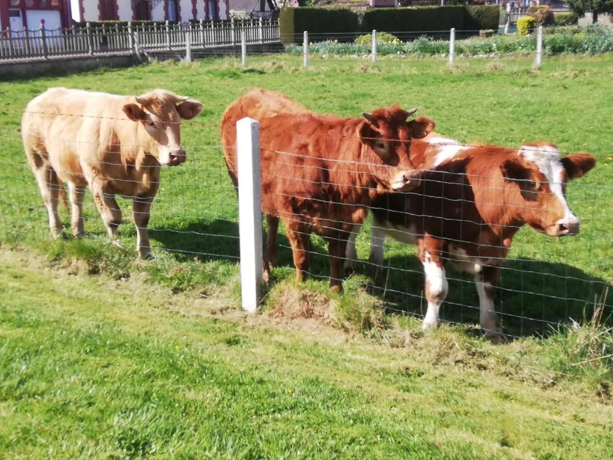 L'Opaline, Jolie Maison Avec Jardin 6 Pers,10Km Honfleur, Linge Et Internet Inclus Beuzeville Bagian luar foto