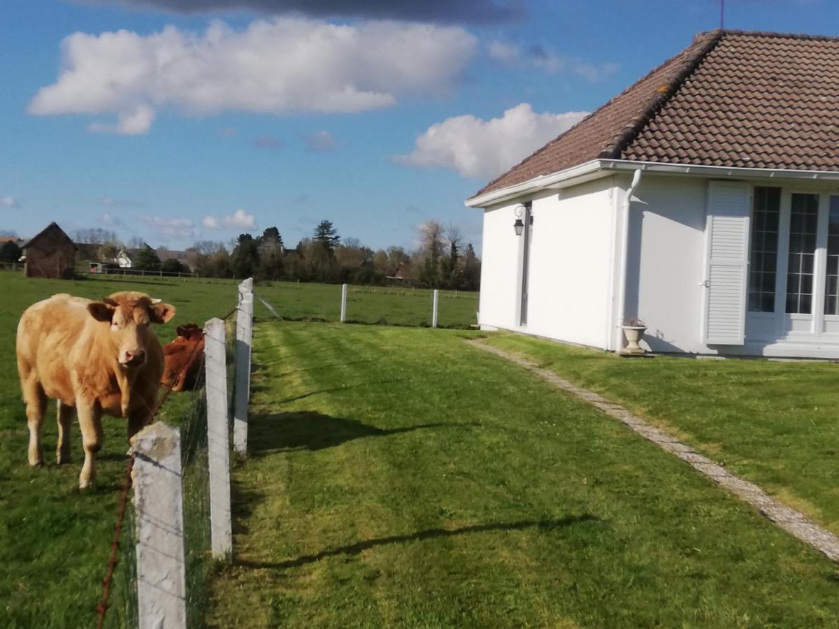 L'Opaline, Jolie Maison Avec Jardin 6 Pers,10Km Honfleur, Linge Et Internet Inclus Beuzeville Bagian luar foto